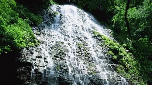 电子高效高端